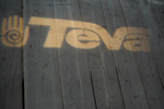 Teva Logo